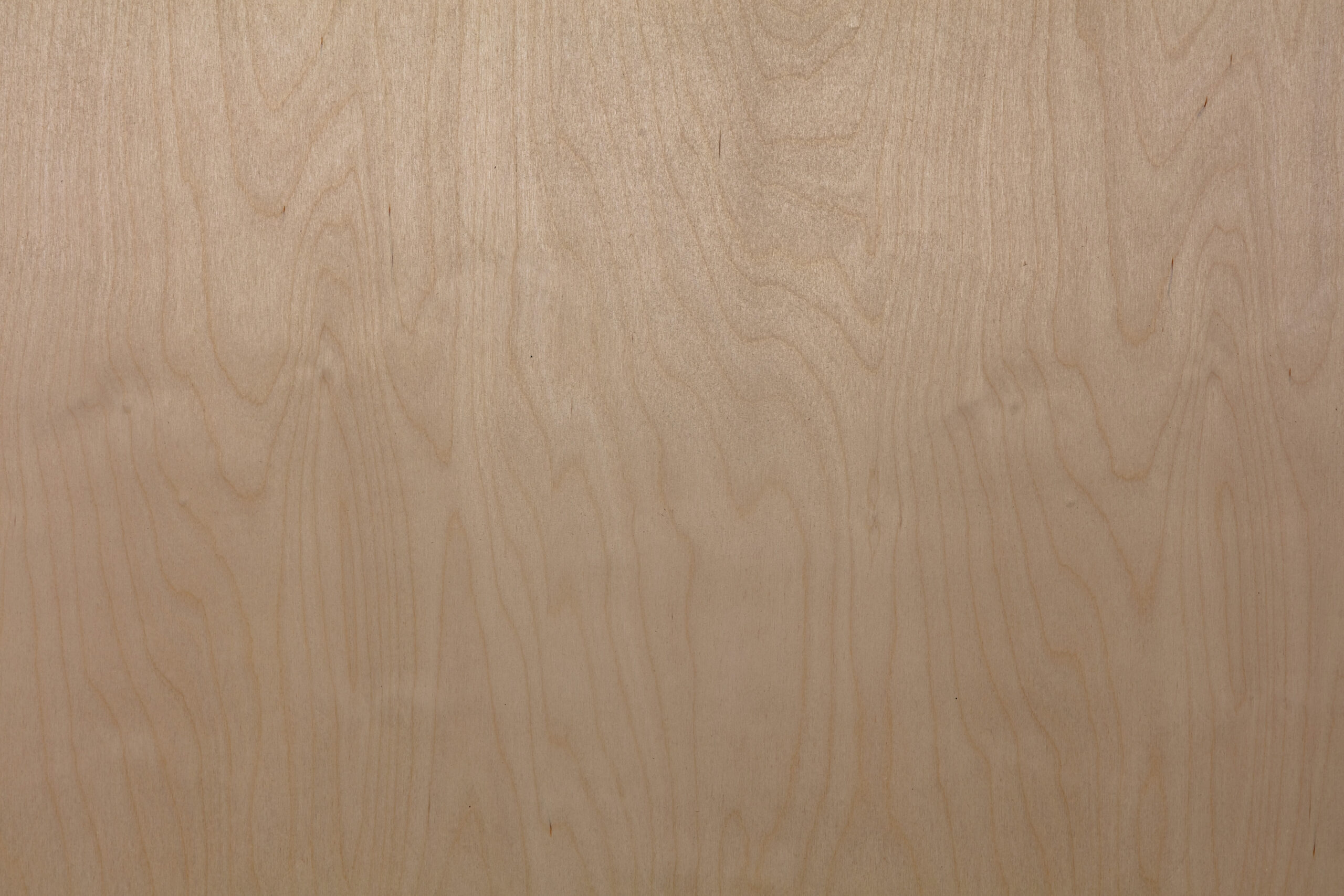 Russian Birch Plywood | USply